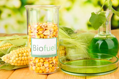 Dryton biofuel availability