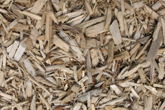 biomass boilers Dryton